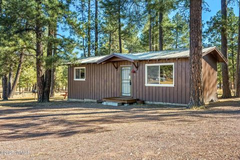 Tiny photo for 25327 Coronado Trail, Alpine, AZ 85920 (MLS # 250045)