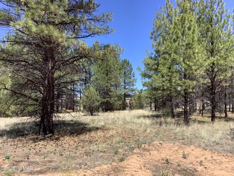 Photo of TBD Cedar Bark Trail, Overgaard, AZ 85933 (MLS # 261055)