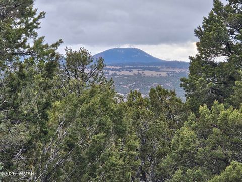 Tiny photo for Lot 20 Mountain Pine Road, Vernon, AZ 85940 (MLS # 259341)