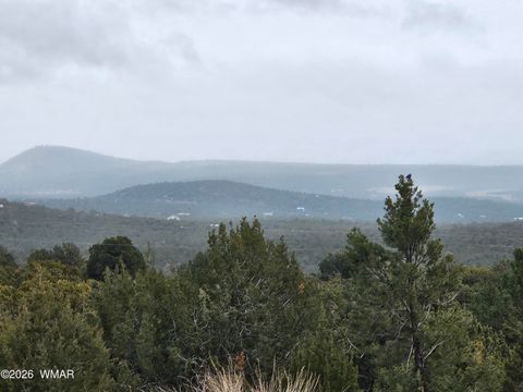 Tiny photo for Lot 20 Mountain Pine Road, Vernon, AZ 85940 (MLS # 259341)