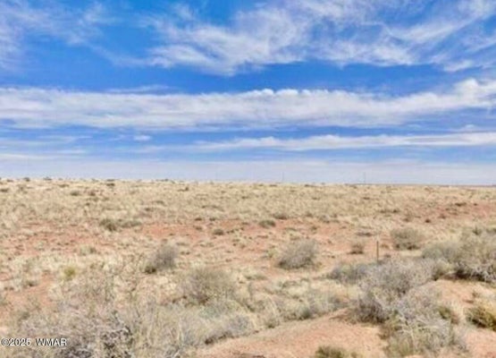 ADDRESS PRIVATE, SUN VALLEY, AZ 86029 - Image e1f77fae882ba1faf8203ffadbeabeb5/3394463167