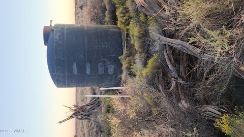 Tiny photo for 8857 Garden Home Trail, Snowflake, AZ 85937 (MLS # 258063)