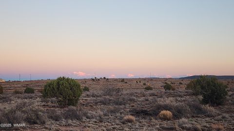 Tiny photo for 8857 Garden Home Trail, Snowflake, AZ 85937 (MLS # 258063)
