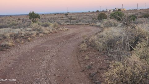 Tiny photo for 8857 Garden Home Trail, Snowflake, AZ 85937 (MLS # 258063)