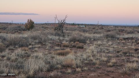 Tiny photo for 8857 Garden Home Trail, Snowflake, AZ 85937 (MLS # 258063)