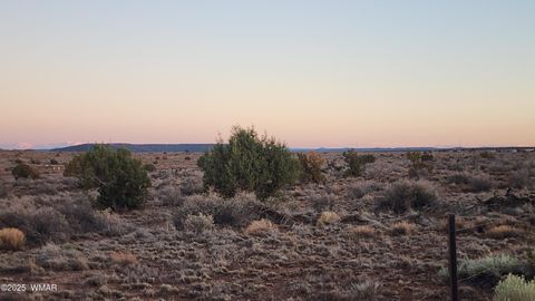 Tiny photo for 8857 Garden Home Trail, Snowflake, AZ 85937 (MLS # 258063)