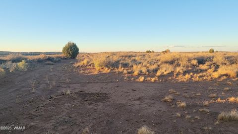 Tiny photo for 8857 Garden Home Trail, Snowflake, AZ 85937 (MLS # 258063)