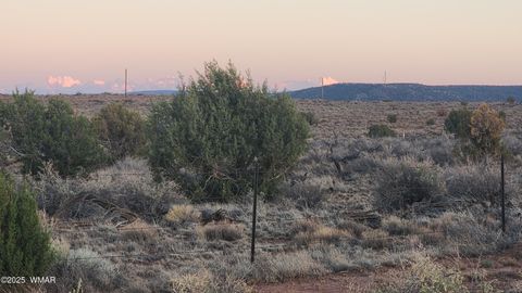 Tiny photo for 8857 Garden Home Trail, Snowflake, AZ 85937 (MLS # 258063)