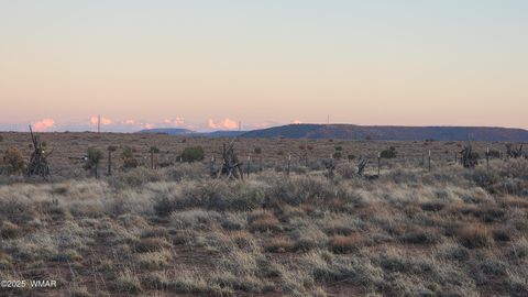 Tiny photo for 8857 Garden Home Trail, Snowflake, AZ 85937 (MLS # 258063)