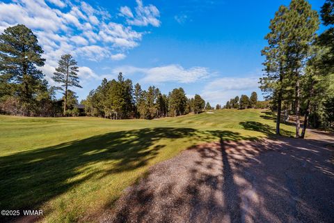 Tiny photo for 1521 S Little Leaf Lane, Show Low, AZ 85901 (MLS # 258655)