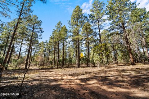 Tiny photo for 1521 S Little Leaf Lane, Show Low, AZ 85901 (MLS # 258655)