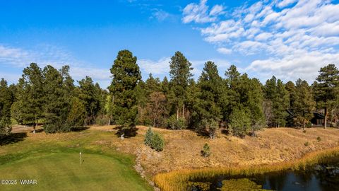 Tiny photo for 1521 S Little Leaf Lane, Show Low, AZ 85901 (MLS # 258655)