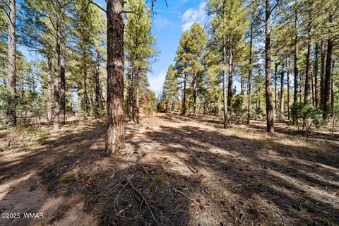 Tiny photo for 1521 S Little Leaf Lane, Show Low, AZ 85901 (MLS # 258655)