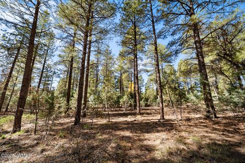 Tiny photo for 1521 S Little Leaf Lane, Show Low, AZ 85901 (MLS # 258655)