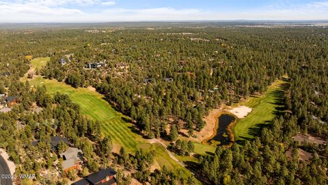 Tiny photo for 1521 S Little Leaf Lane, Show Low, AZ 85901 (MLS # 258655)