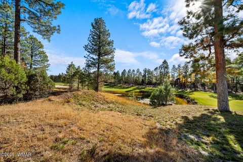 Tiny photo for 1521 S Little Leaf Lane, Show Low, AZ 85901 (MLS # 258655)