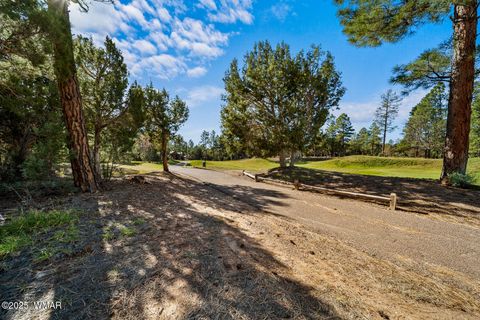Tiny photo for 1521 S Little Leaf Lane, Show Low, AZ 85901 (MLS # 258655)