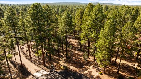 Tiny photo for 1521 S Little Leaf Lane, Show Low, AZ 85901 (MLS # 258655)