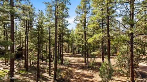 Tiny photo for 1521 S Little Leaf Lane, Show Low, AZ 85901 (MLS # 258655)