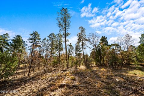 Tiny photo for 1521 S Little Leaf Lane, Show Low, AZ 85901 (MLS # 258655)