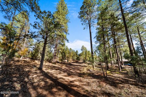 Tiny photo for 1521 S Little Leaf Lane, Show Low, AZ 85901 (MLS # 258655)