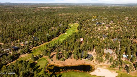 Tiny photo for 1521 S Little Leaf Lane, Show Low, AZ 85901 (MLS # 258655)