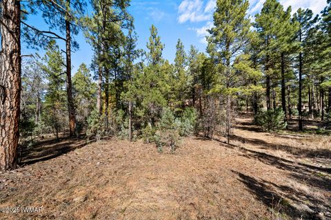 Tiny photo for 1521 S Little Leaf Lane, Show Low, AZ 85901 (MLS # 258655)