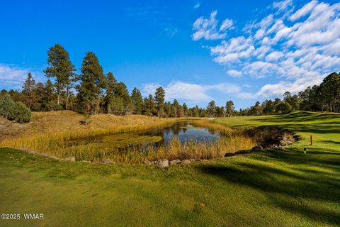 Tiny photo for 1521 S Little Leaf Lane, Show Low, AZ 85901 (MLS # 258655)