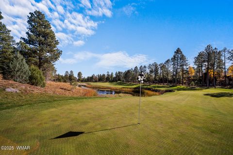 Tiny photo for 1521 S Little Leaf Lane, Show Low, AZ 85901 (MLS # 258655)