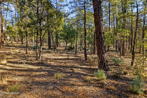Tiny photo for 1400 E Pine Oaks Drive, Show Low, AZ 85901 (MLS # 262384)