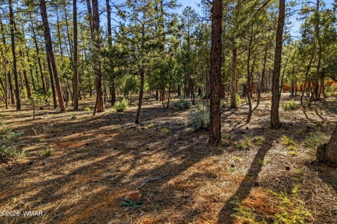 Tiny photo for 1400 E Pine Oaks Drive, Show Low, AZ 85901 (MLS # 262384)