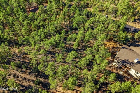 Tiny photo for 1400 E Pine Oaks Drive, Show Low, AZ 85901 (MLS # 262384)