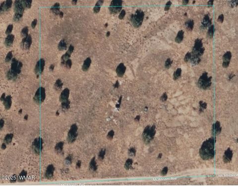 Photo of 1822 Mcallister Avenue, Heber, AZ 85928 (MLS # 255582)