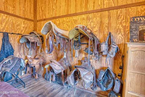 Tiny photo for 422 Sponseller Siding, Lakeside, AZ 85929 (MLS # 257770)