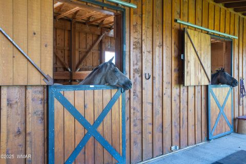 Tiny photo for 422 Sponseller Siding, Lakeside, AZ 85929 (MLS # 257770)