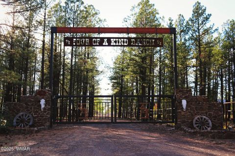 Tiny photo for 422 Sponseller Siding, Lakeside, AZ 85929 (MLS # 257770)