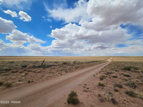 Tiny photo for TBD S Tovar Avenue, Holbrook, AZ 86025 (MLS # 241630)