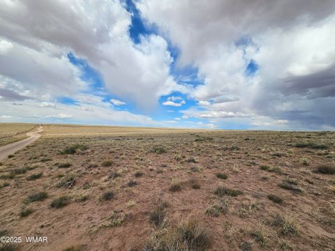 Tiny photo for TBD S Tovar Avenue, Holbrook, AZ 86025 (MLS # 241630)