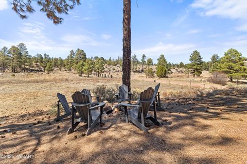 Tiny photo for 2802 Zane Grey Boulevard, Overgaard, AZ 85933 (MLS # 255788)