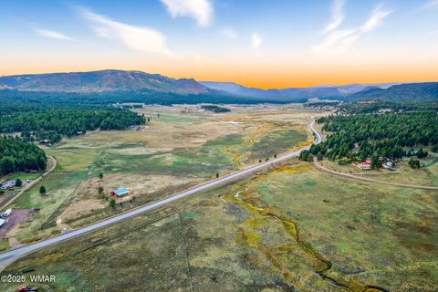 Tiny photo for 42856 US-180, Alpine, AZ 85920 (MLS # 254686)
