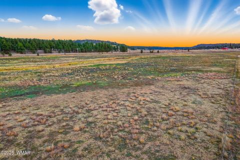 Tiny photo for 42856 US-180, Alpine, AZ 85920 (MLS # 254686)
