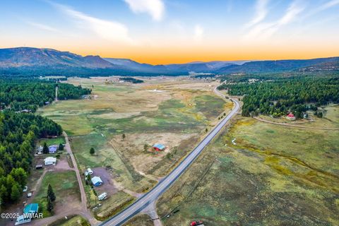 Tiny photo for 42856 US-180, Alpine, AZ 85920 (MLS # 254686)