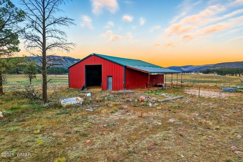 Tiny photo for 42856 US-180, Alpine, AZ 85920 (MLS # 254686)