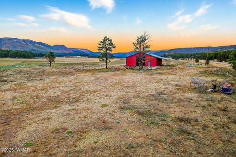 Tiny photo for 42856 US-180, Alpine, AZ 85920 (MLS # 254686)