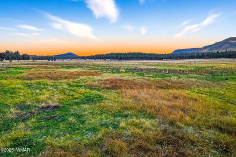 Tiny photo for 42856 US-180, Alpine, AZ 85920 (MLS # 254686)