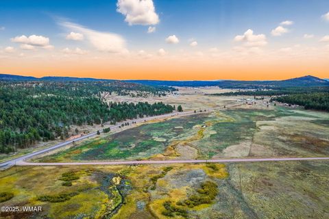 Tiny photo for 42856 US-180, Alpine, AZ 85920 (MLS # 254686)