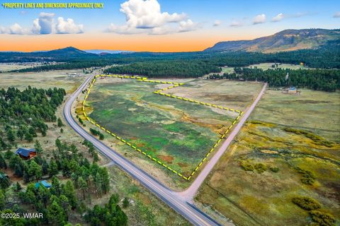 Photo of 42856 US-180, Alpine, AZ 85920 (MLS # 254686) Photo of 42856 US-180, Alpine, AZ 85920 (MLS # 254686)