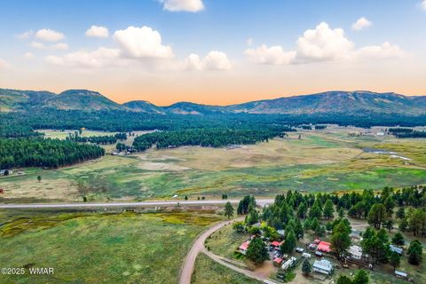 Tiny photo for 42856 US-180, Alpine, AZ 85920 (MLS # 254686)