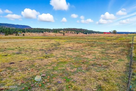 Tiny photo for 42856 US-180, Alpine, AZ 85920 (MLS # 254686)