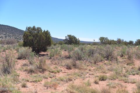 Tiny photo for 3987 Aztec Road, Snowflake, AZ 85937 (MLS # 256007)
